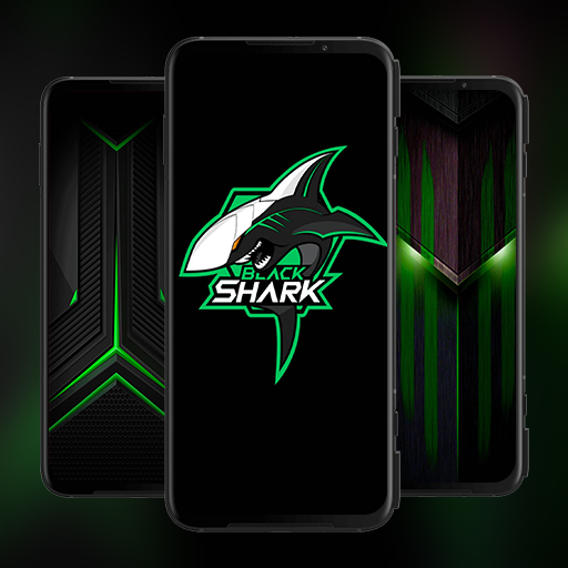 Картинки black shark