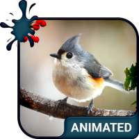 Birdy Animated Keyboard + Live Wallpaper