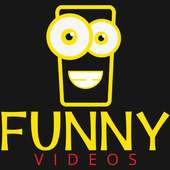 Funny Videos / Clips