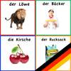 Learn German Vocabulary for Kids and Beginners