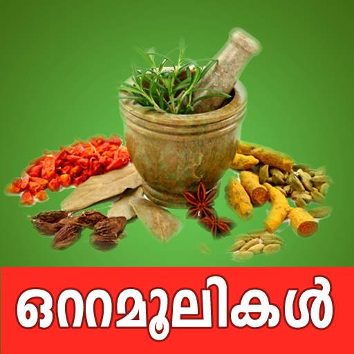 Ottamoolikal in Malayalam free app