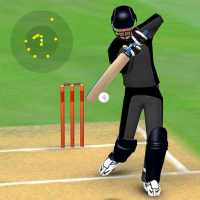 Smashing Cricket: cricket game on 9Apps