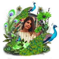 Peacock Photo Frame on 9Apps