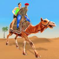 Camel Taxi: City & Desert Transport