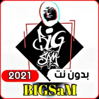 BiGSaM Official 