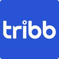 Tribb: Red Social de Tribus Digitales