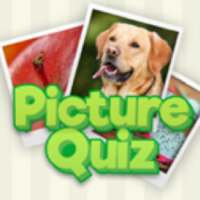 Picture Quiz