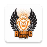 Roaring Hawks on 9Apps