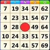 Absolute Bingo for Android - Free App Download