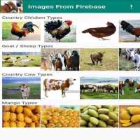 Images From Firebase Cloud Storage