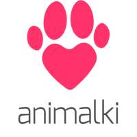 Animalki on 9Apps