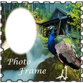 Peacock Bird Photo Editor Latest