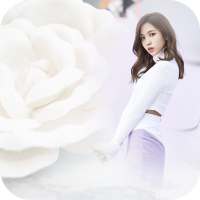 White Rose Photo Frame on 9Apps