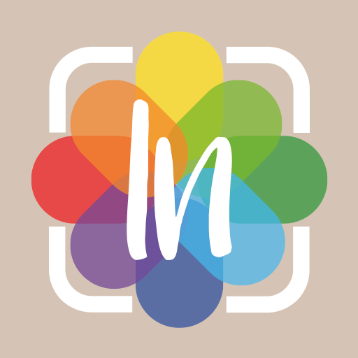 InGallery icon