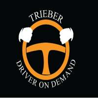 Trieber Driver On Demand on 9Apps