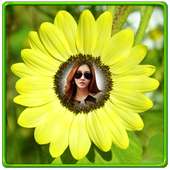 Sunflower Photo Frames