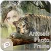 Animals Photo Frames