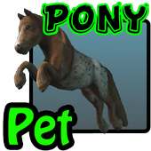 Pony Pet