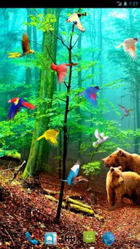 Forest Birds Live Wallpaper APK Download 2023 - Free - 9Apps