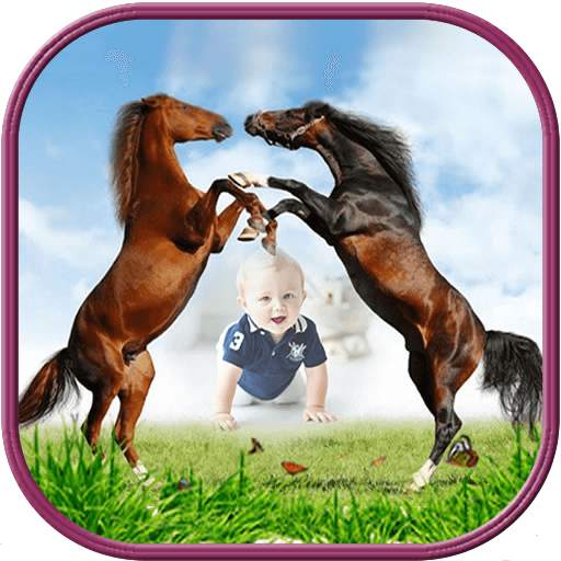 Horse Photo Frames