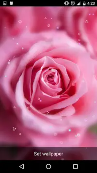 Descarga de la aplicación Flores para Fondo de Pantalla 2023 - Gratis - 9Apps Descarga de la aplicación Flores para Fondo de Pantalla 2023 - Gratis - 9Apps