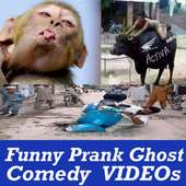 Funny Comedy Babies Animals Clip VIDEOs App Kids