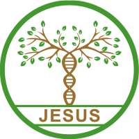 Jesus Genealogy