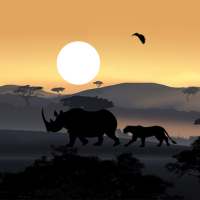 Afrykański Zachód Słońca