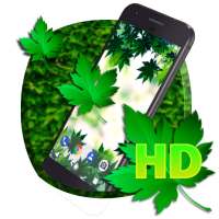 Green Leaf APUS Live Wallpaper