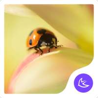 Flowers and ladybugs APUS launcher theme on 9Apps