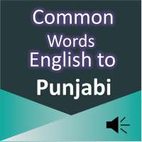 Common Word English to Punjabi on 9Apps