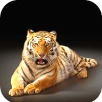 Tiger Wallpaper HD on 9Apps