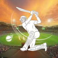 लाइव क्रिकेट मैच: लाइव मैच