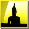 Daily Gautama Buddha Quotes - quotes of wisdom
