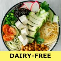 Dairy-Free recipes for free app offline with photo