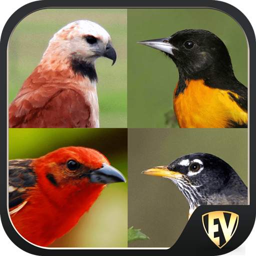 Birds Encyclopedia Offline App