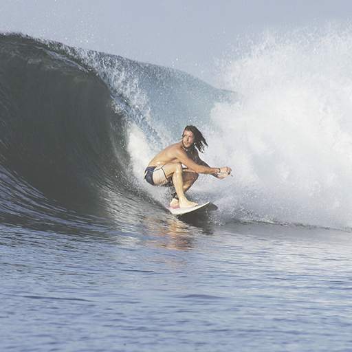 Surfing Wallpaper 🏄