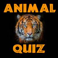 Animal Quiz - Guess from the Picture and Trivia