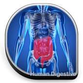 Human Digestive on 9Apps