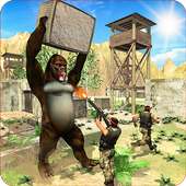 Wild Gorilla Jail Escape – Angry Ape Survival