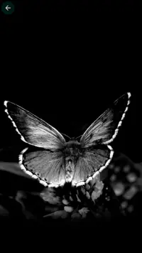 Descarga de la aplicación Dark Wallpapers 4K Black Wallpaper HD 2023 - Gratis - 9Apps Descarga de la aplicación Dark Wallpapers 4K Black Wallpaper HD 2023 - Gratis - 9Apps