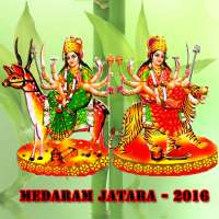 Medaram Jatara 2016