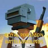 Pixelmon Battlegrounds Maze