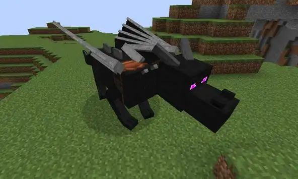 Minecraft PE 0.14.0 Hidden Features Camera