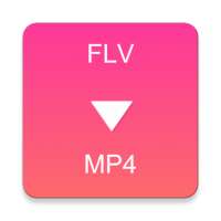 FLV to MP4 Converter on 9Apps