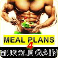 Meal Planner For Muscle Gain on 9Apps