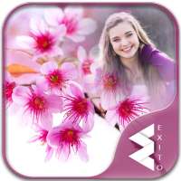 Sakura Photo Frames on 9Apps