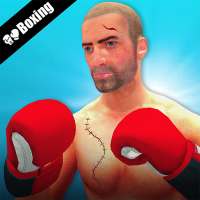 Punch Boxing  Mega Star 3D