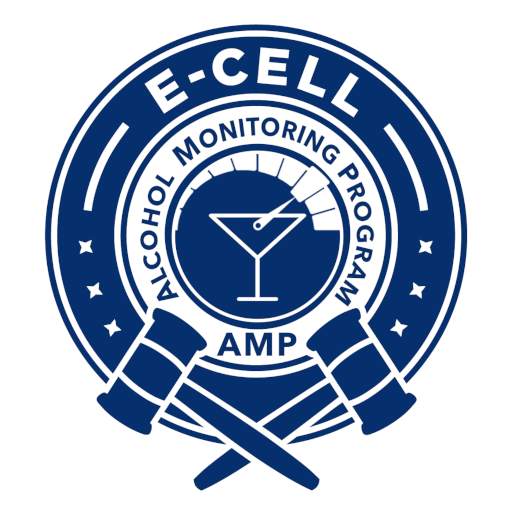 E-Cell AMP