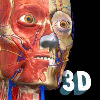 Anatomy Learning – Atlas de anatomia 3D on 9Apps